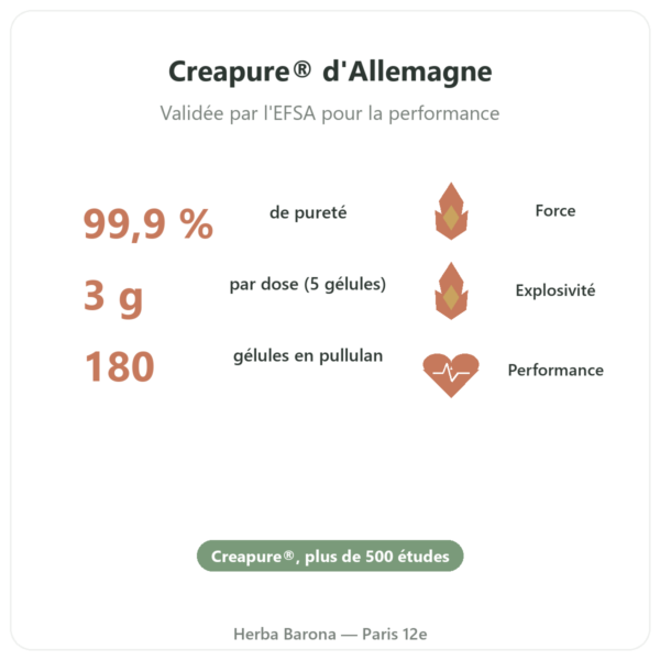 Créatine monohydrate Creapure®- Dynveo – 180 gélules bienfaits et chiffres Paris Herba Barona