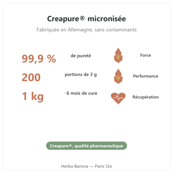 Créatine monohydrate Creapure® poudre 1 kg – Dynveo bienfaits et chiffres Paris Herba Barona