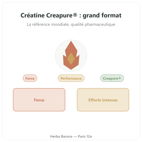 Créatine monohydrate Creapure® poudre 1 kg – Dynveo presentation Paris Herba Barona