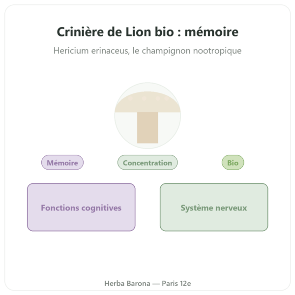 Crinière de Lion Bio – SIHO 60 gélules presentation Paris Herba Barona
