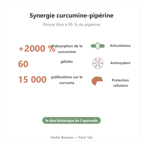 Curcuma Poivre – Ayur-vana – 60 gélules bienfaits et chiffres Paris Herba Barona