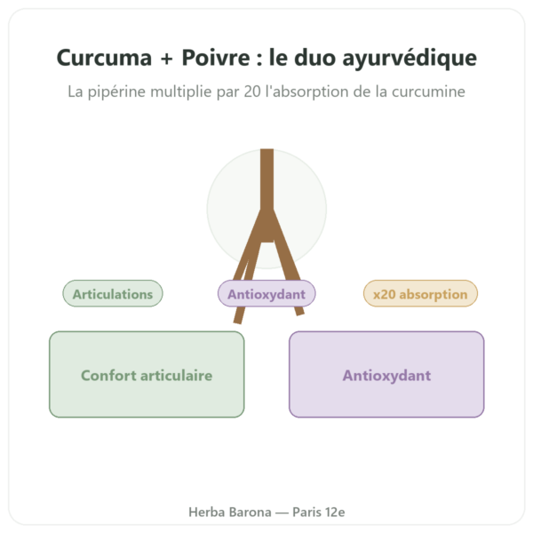 Curcuma Poivre – Ayur-vana – 60 gélules presentation Paris Herba Barona