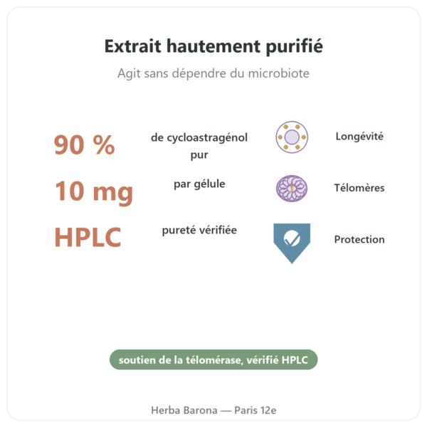 Cycloastragenol pur dynveo 60 gélules bienfaits et chiffres Paris Herba Barona