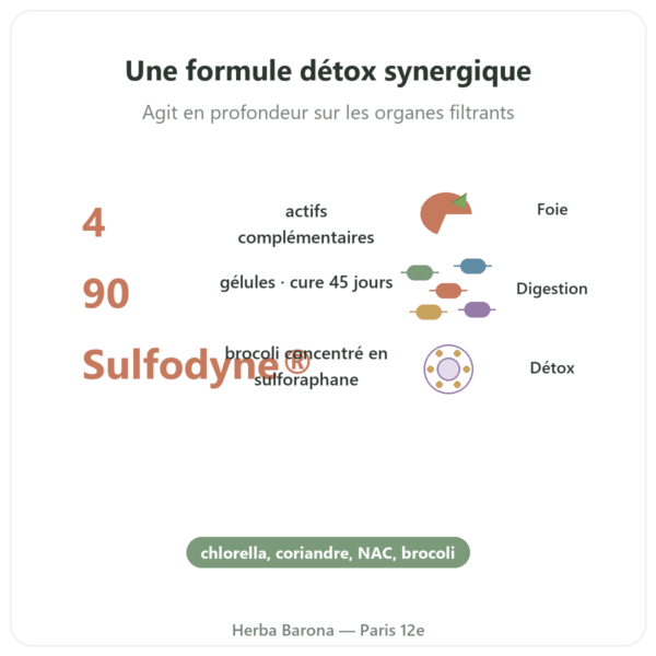 Detox Naturamedicatrix - 90 gélules - Foie et digestion bienfaits et chiffres Paris Herba Barona