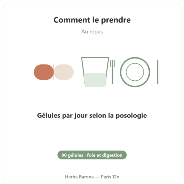 Detox Naturamedicatrix - 90 gélules - Foie et digestion mode emploi conseil de prise Paris Herba Barona