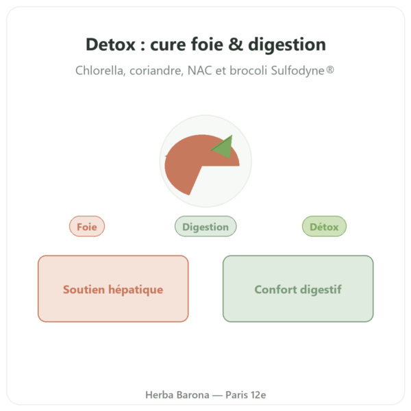 Detox Naturamedicatrix - 90 gélules - Foie et digestion presentation Paris Herba Barona