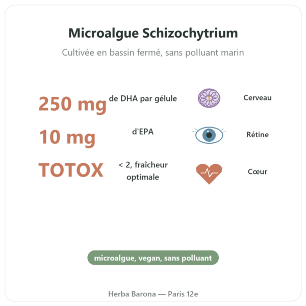 DHA végétal 250mg/ 60 gélules – Dynveo bienfaits et chiffres Paris Herba Barona