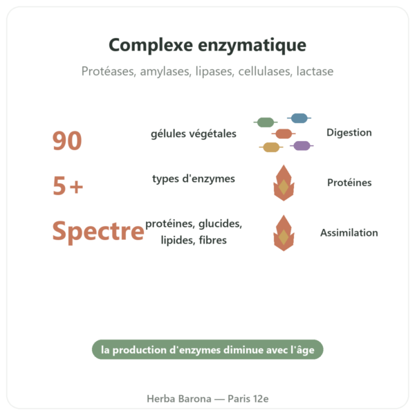 Digestive Enzymes – 90 gélules – Doctor's Best bienfaits et chiffres Paris Herba Barona