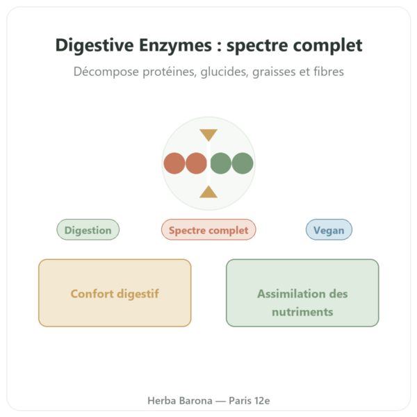 Digestive Enzymes – 90 gélules – Doctor's Best presentation Paris Herba Barona