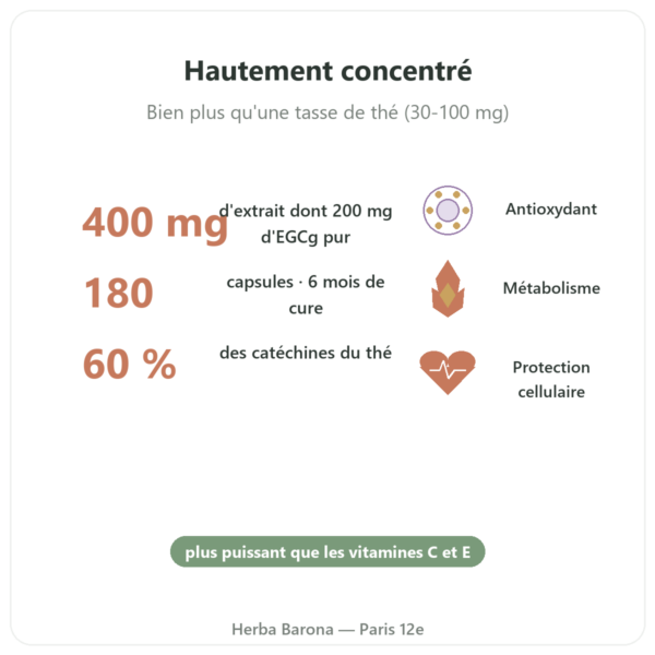 EGCg Extrait Thé Vert 400 mg – Now Foods – 180 capsules bienfaits et chiffres Paris Herba Barona