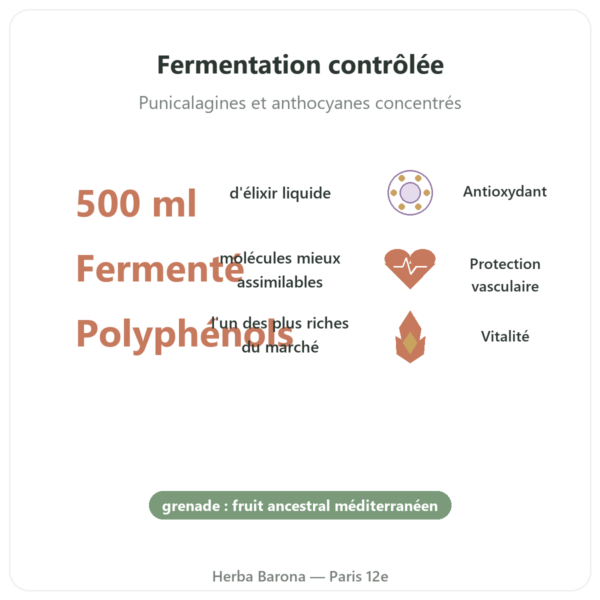 Elixir de grenade fermentée Dr Jacobs – 500 ml – Naturamedicatrix bienfaits et chiffres Paris Herba Barona