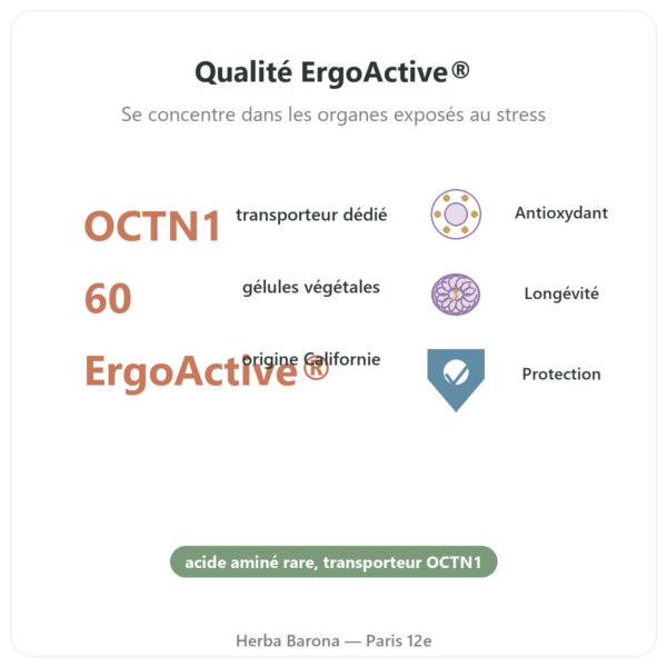 Ergothionéine pure ErgoActive – Dynveo – 60 gélules bienfaits et chiffres Paris Herba Barona