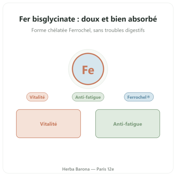 Fer Bisglycinate – dynveo – 60 gélules presentation Paris Herba Barona