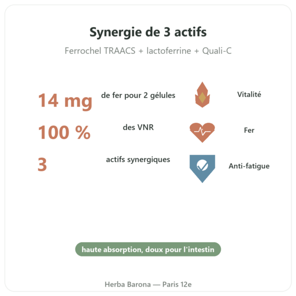 Fer3 – dynveo – Complexe Fer et Vitamine C 60 gélules bienfaits et chiffres Paris Herba Barona