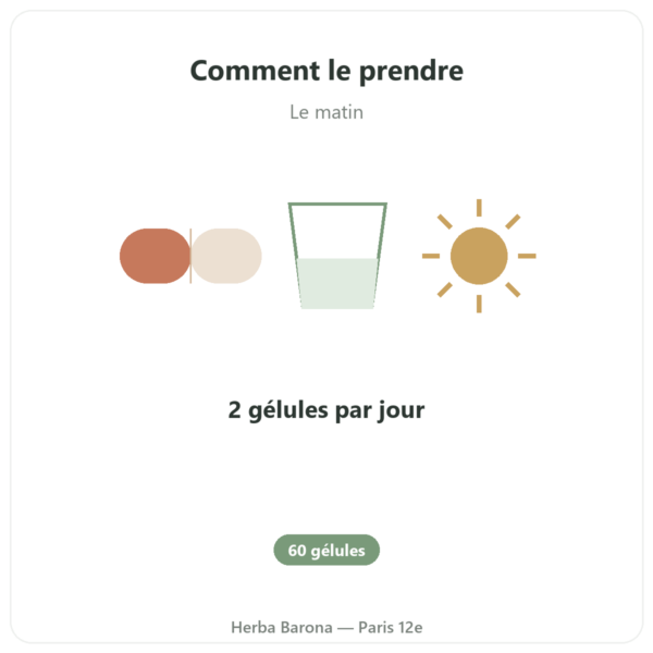 Fer3 – dynveo – Complexe Fer et Vitamine C 60 gélules mode emploi conseil de prise Paris Herba Barona