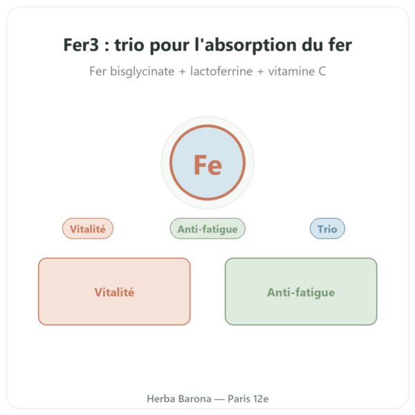 Fer3 – dynveo – Complexe Fer et Vitamine C 60 gélules presentation Paris Herba Barona
