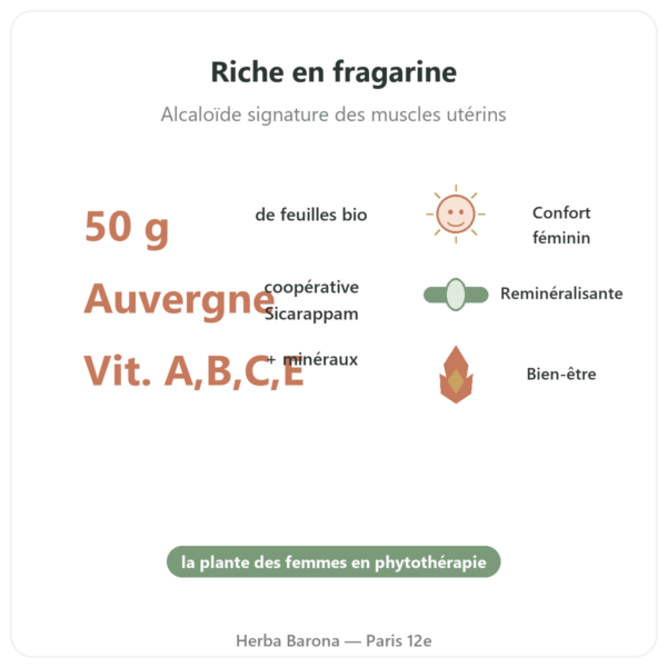 Feuilles de Framboisier Bio – Les Jardins de Gaïa – 50 g bienfaits et chiffres Paris Herba Barona