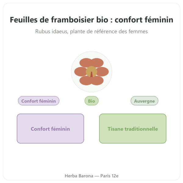Feuilles de Framboisier Bio – Les Jardins de Gaïa – 50 g presentation Paris Herba Barona