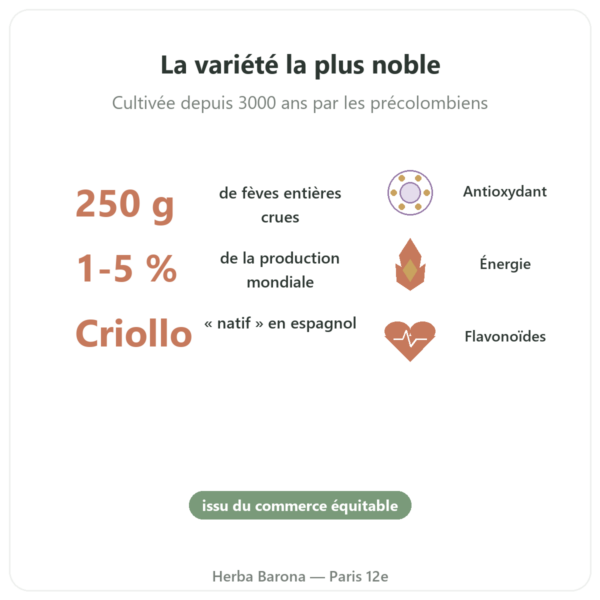 Fèves de cacao crues, bio variété criollo 250 g – Saldac bienfaits et chiffres Paris Herba Barona