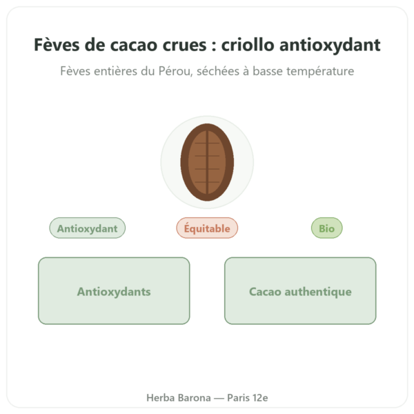 Fèves de cacao crues, bio variété criollo 250 g – Saldac presentation Paris Herba Barona