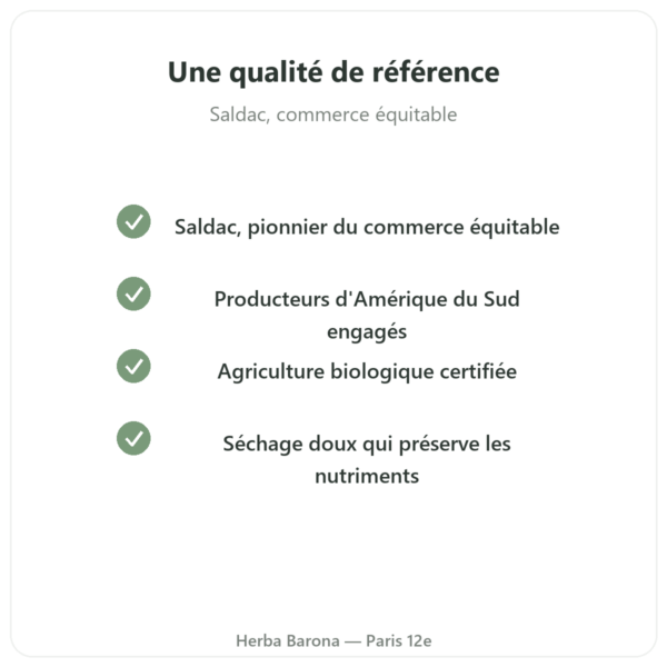 Fèves de cacao crues, bio variété criollo 250 g – Saldac qualite Paris Herba Barona