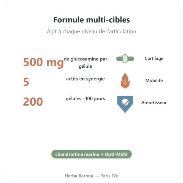 Flexine – Form'Axe – 200 gélules – Articulations bienfaits et chiffres Paris Herba Barona