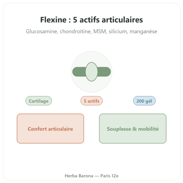 Flexine – Form'Axe – 200 gélules – Articulations presentation Paris Herba Barona