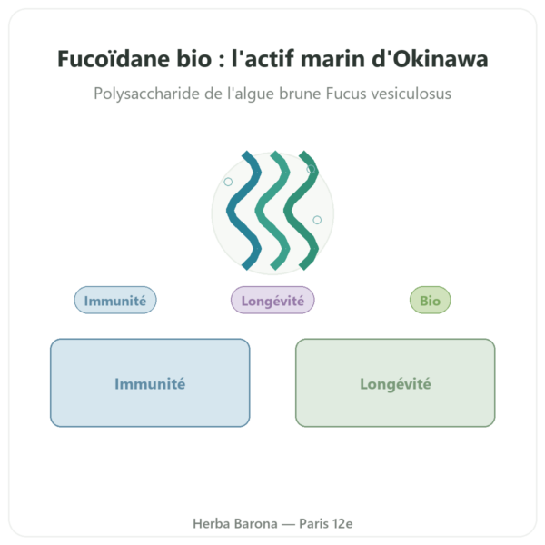 Fucoïdane BIO Dynveo 250 mg 60 gélules presentation Paris Herba Barona