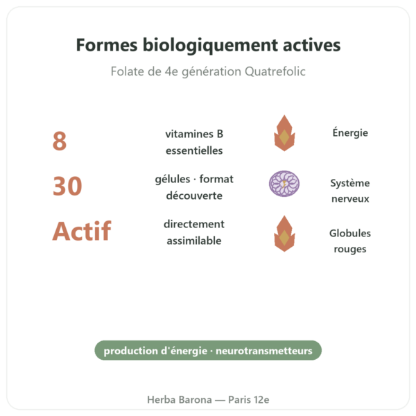 Fully Active B Complex Quatrefolic 30 Gélules Doctor's Best - Acheter bienfaits et chiffres Paris Herba Barona