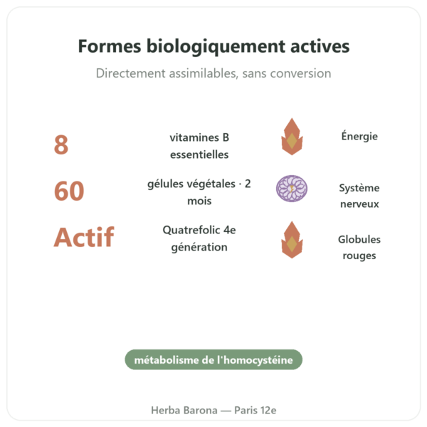Fully Active B COMPLEX quatrefolic – 60 Gélules. – Doctor's Best bienfaits et chiffres Paris Herba Barona