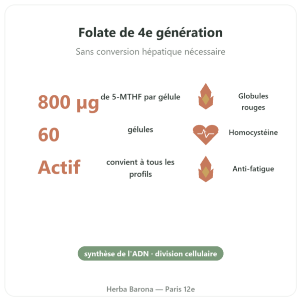 Fully Active Folate 800 mcg – Doctor's Best – 60 gélules bienfaits et chiffres Paris Herba Barona