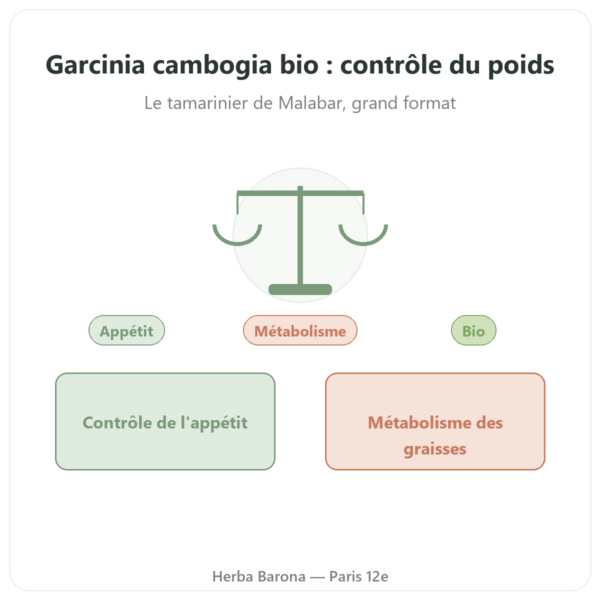 Garcinia cambogia bio (hydroxycitrate) – Dynveo – 300 gélules presentation Paris Herba Barona