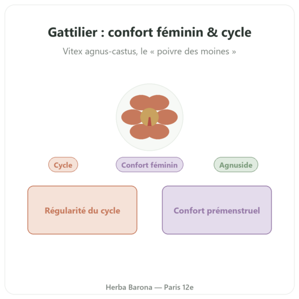Gattilier Extrait 250 mg – 0,6% Agnuside – 60 gélules presentation Paris Herba Barona