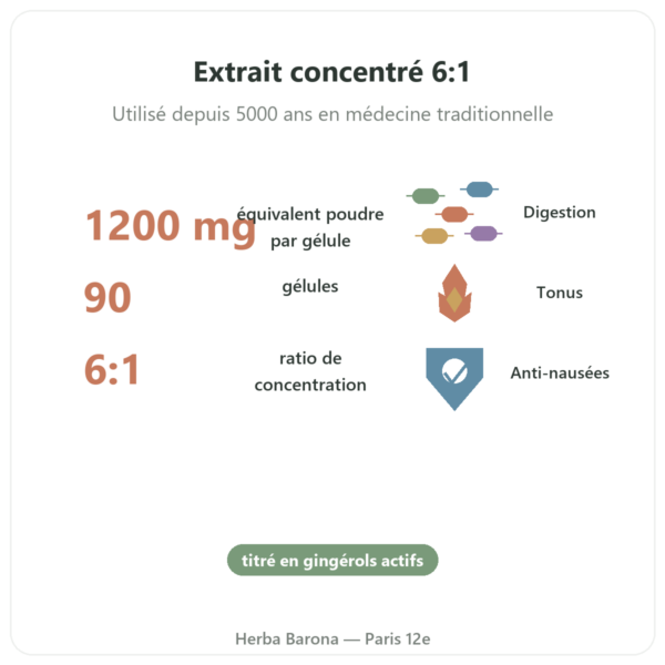 Gingembre 1200 – Be-Life – 90 gélules bienfaits et chiffres Paris Herba Barona
