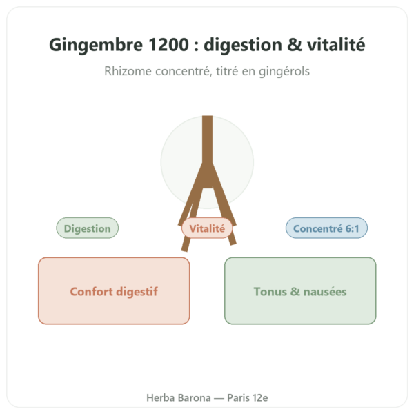 Gingembre 1200 – Be-Life – 90 gélules presentation Paris Herba Barona