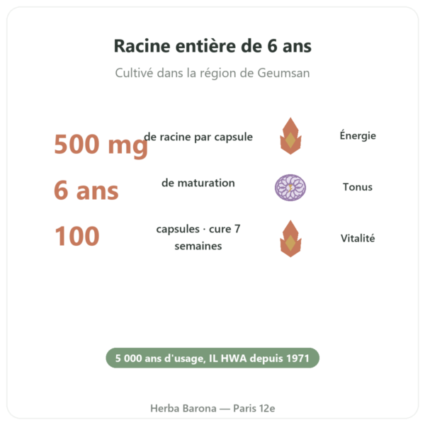 Ginseng coréen 100 capsules 500mg IL HWA Corée - Adaptogène bienfaits et chiffres Paris Herba Barona