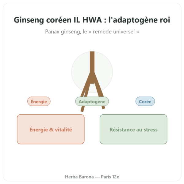 Ginseng Coréen 50 Gélules 500mg IL HWA Corée - Adaptogène presentation Paris Herba Barona