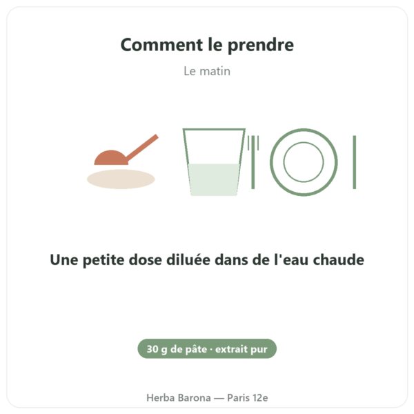 Ginseng de Corée en pâte Extrait coréen pur iL HWA – pot de 30 g mode emploi conseil de prise Paris Herba Barona