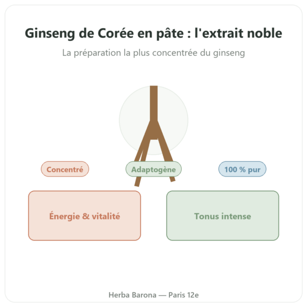 Ginseng de Corée en pâte Extrait coréen pur iL HWA – pot de 30 g presentation Paris Herba Barona