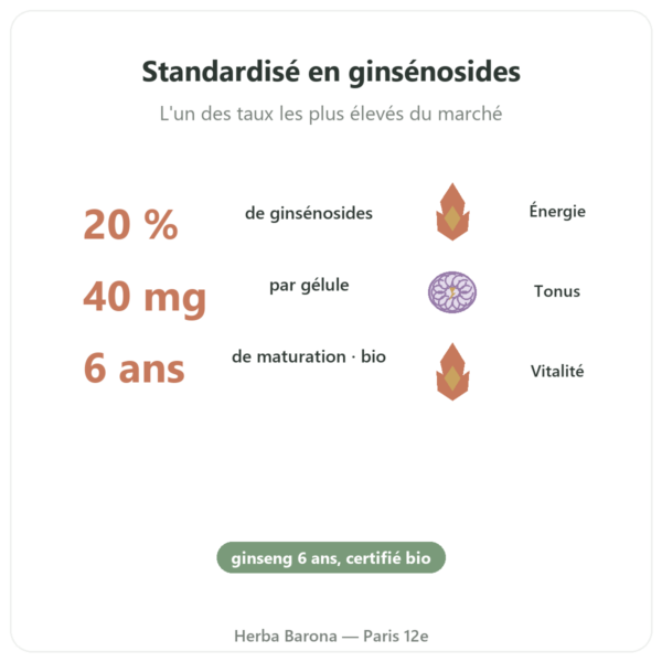 Ginseng rouge bio- Dynveo- 20% ginsénosides – 200mg – 60 gél. bienfaits et chiffres Paris Herba Barona