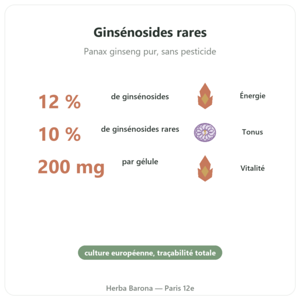 Ginseng Rouge Premium – Dynveo – 200mg – 60 gél. bienfaits et chiffres Paris Herba Barona