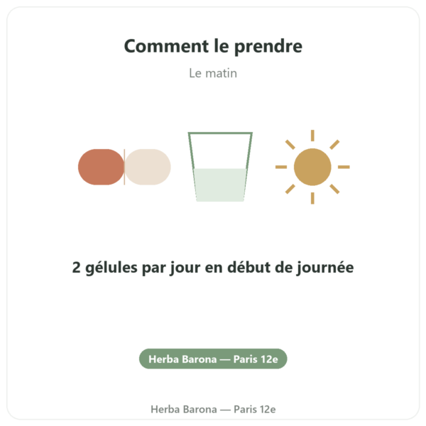 Ginseng Rouge Premium – Dynveo – 200mg – 60 gél. mode emploi conseil de prise Paris Herba Barona