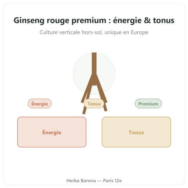 Ginseng Rouge Premium – Dynveo – 200mg – 60 gél. presentation Paris Herba Barona