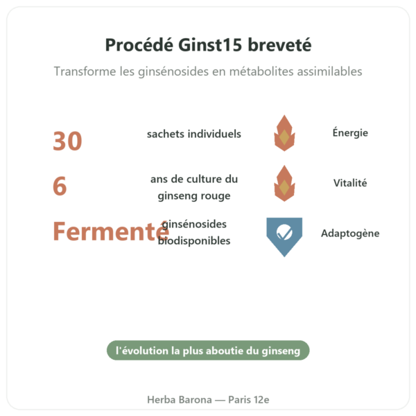 Ginst15 : le Ginseng Thé fermenté IL HWA 30 sachets bienfaits et chiffres Paris Herba Barona