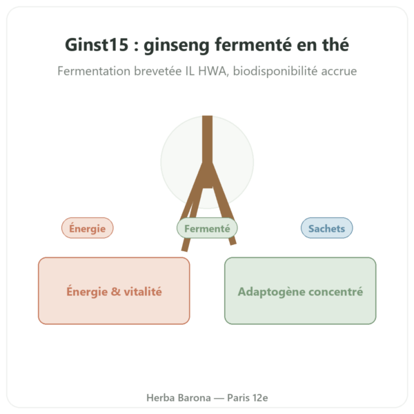 Ginst15 : le Ginseng Thé fermenté IL HWA 30 sachets presentation Paris Herba Barona