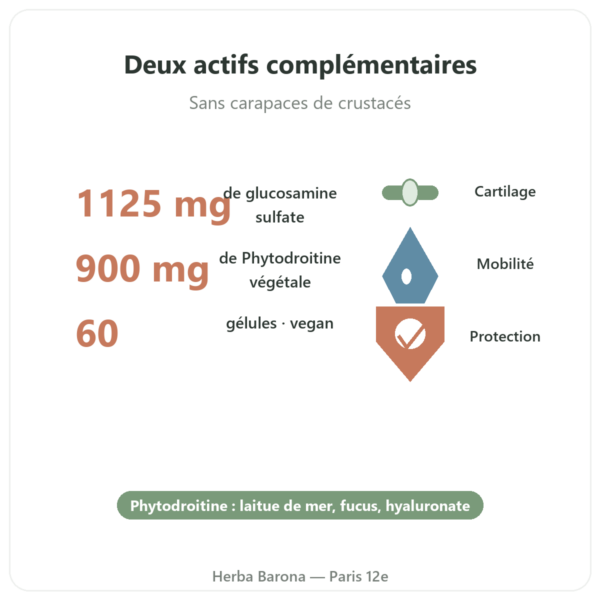 Glucosamine & Chondroïtine – 60 gélules bienfaits et chiffres Paris Herba Barona