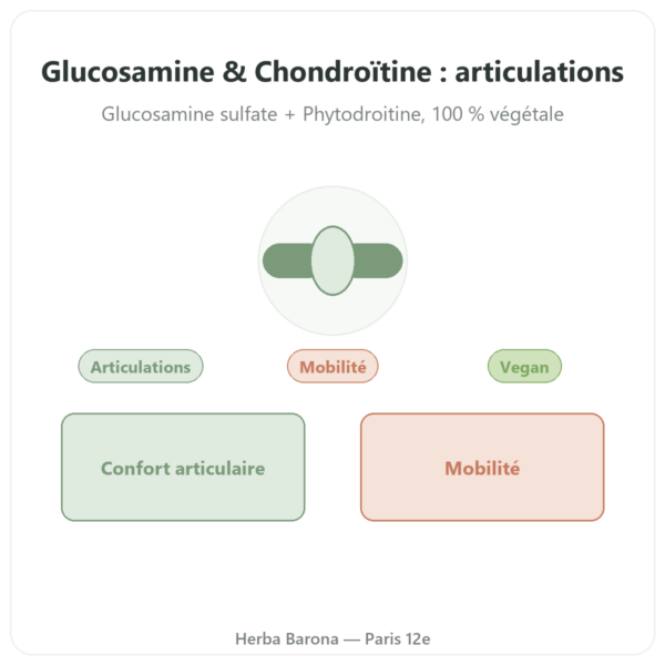 Glucosamine & Chondroïtine – 60 gélules presentation Paris Herba Barona