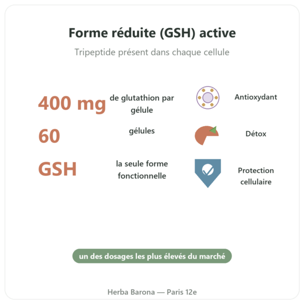 Glutathion réduit 400 mg – 60 gélules – VITAL OSMOSE bienfaits et chiffres Paris Herba Barona