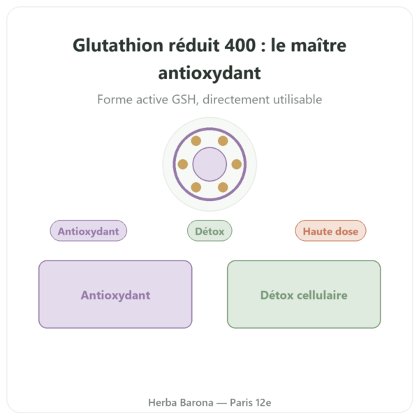 Glutathion réduit 400 mg – 60 gélules – VITAL OSMOSE presentation Paris Herba Barona