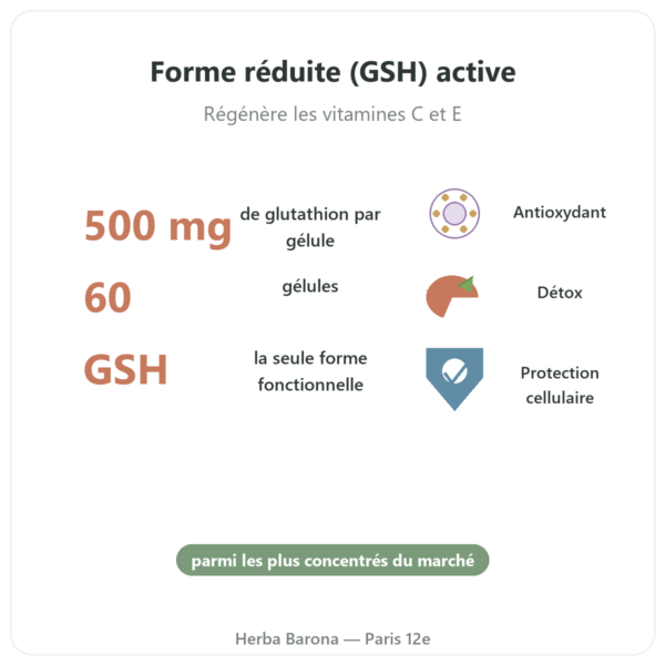 Glutathion Reduit 500mg 60 Gélules Jarrow Formulas – Acheter bienfaits et chiffres Paris Herba Barona